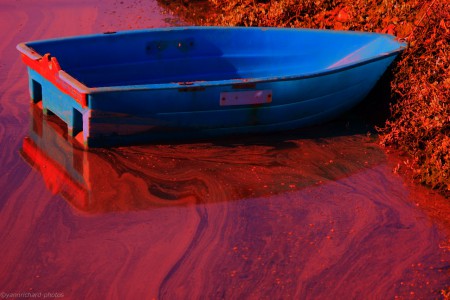 Barque bleue . Le Faou 2012